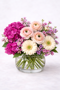 Comforting Blooms